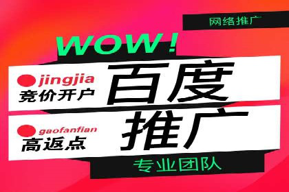 百度竞价推广公司经典案例解析：广告投放策略的智慧